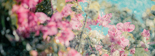Testing Alt