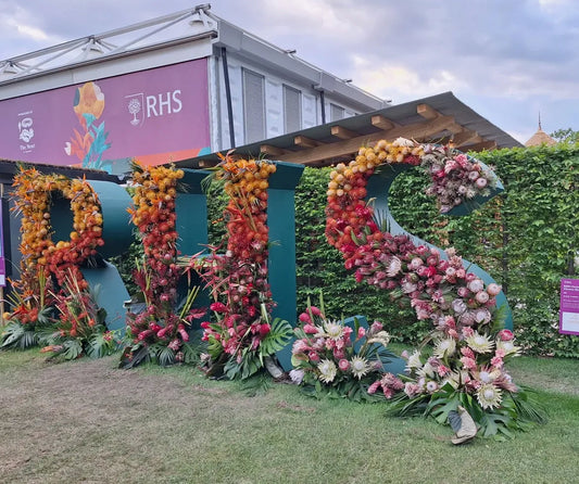 Sustainable Flower Shows Spring 2025: Stories of Blooms Inspiration