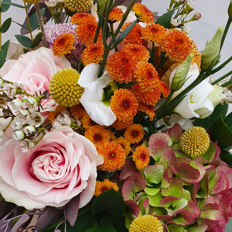 Get Well Soon Flowers - Stories of Blooms