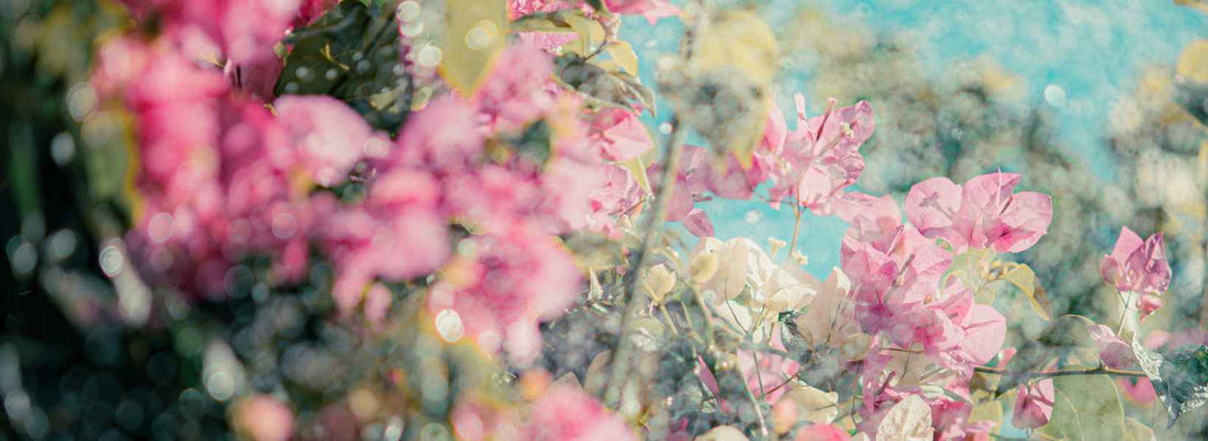 Testing Alt