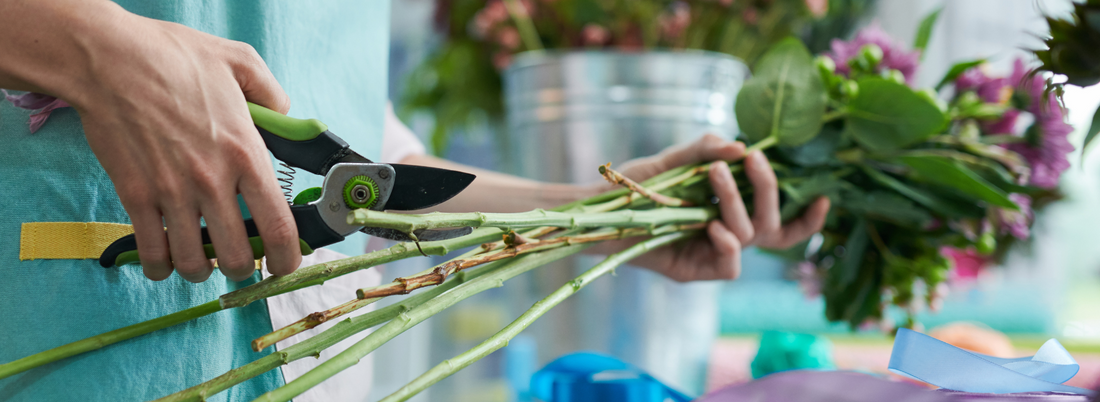 Person caring for their fresh cut flower.