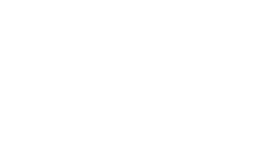 Stories of Blooms logo